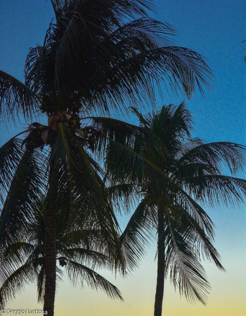 Fiesta Bahiana Club Hotel image 50